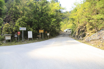 中川林道