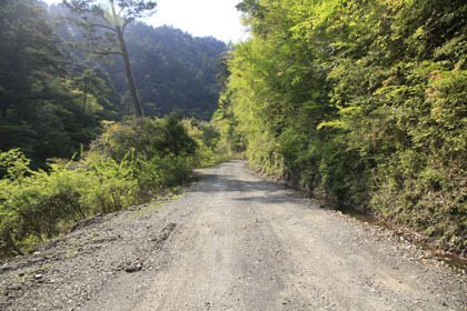 中川林道