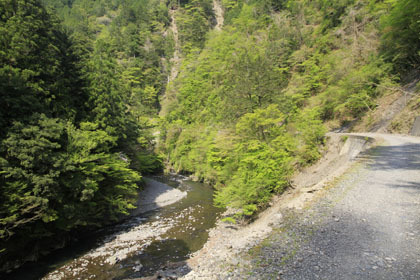 中川林道