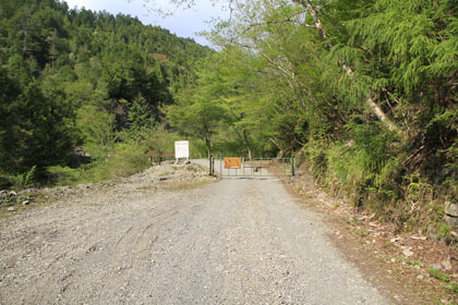 中川林道