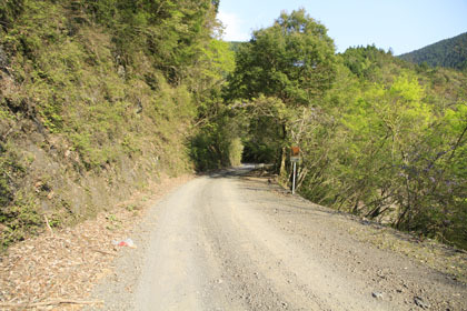 大木屋小石川林道