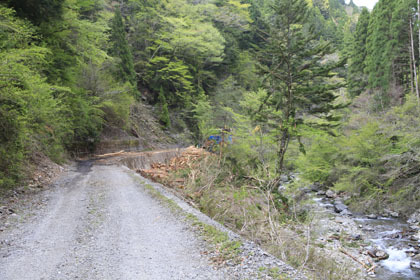 大木屋小石川林道