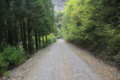 大木屋小石川林道