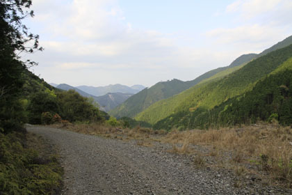 大木屋小石川林道