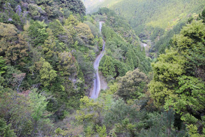 大木屋小石川林道