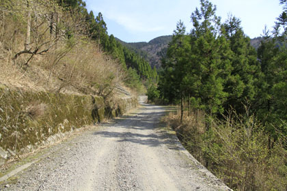 剣山スーパー林道