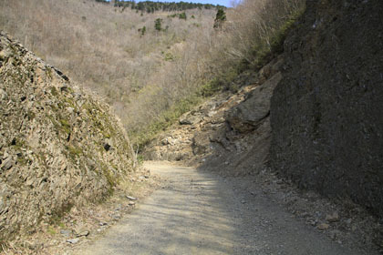 剣山スーパー林道