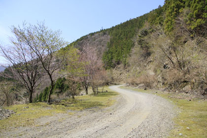 剣山スーパー林道