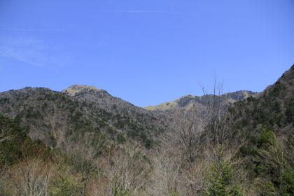 剣山スーパー林道