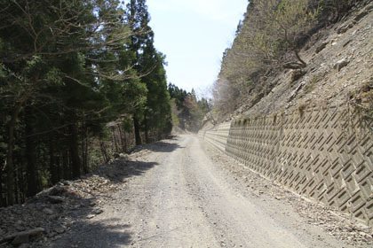 剣山スーパー林道