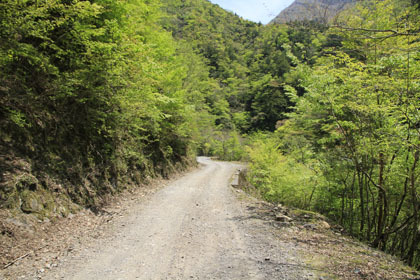 剣山スーパー林道