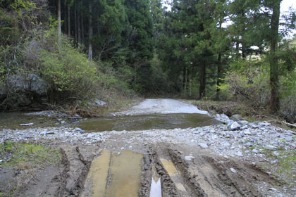 谷相林道