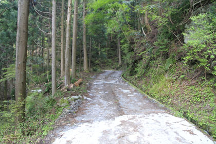 仁尾ヶ内林道