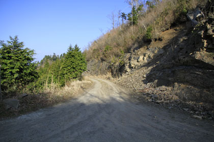 竜王林道