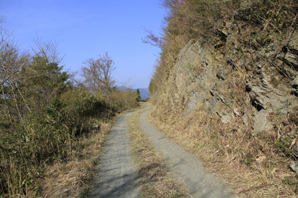 竜王林道