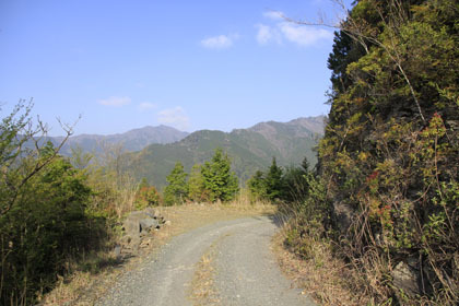 竜王林道