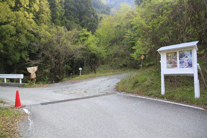 竜王林道