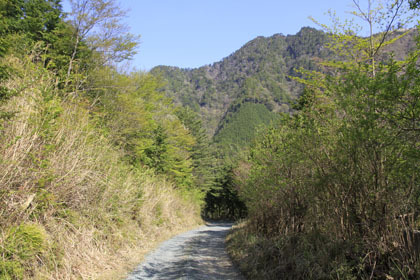奥白髪林道