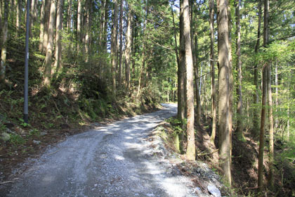 奥南川林道