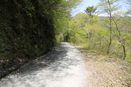 奥南川林道