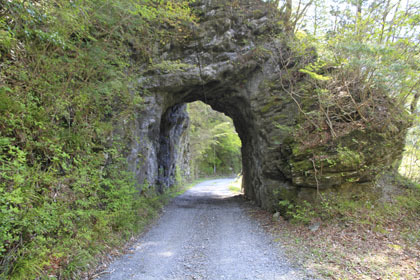 奥南川林道