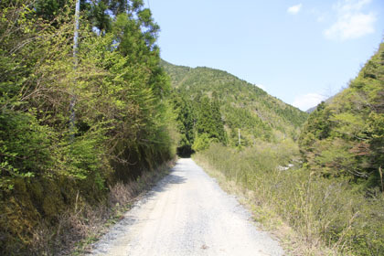 奥南川林道