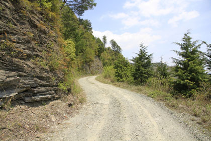 奥南川林道
