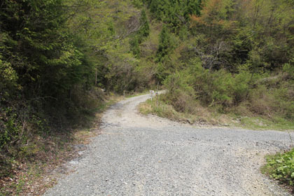 伊留谷林道