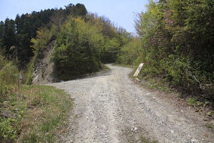 伊留谷林道