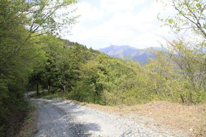 伊留谷林道