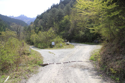 弘沢林道