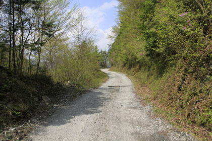 弘沢林道