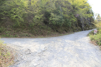 弘沢林道