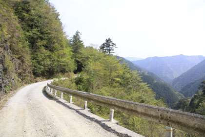 弘沢林道