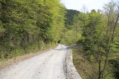 弘沢林道