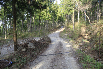 父野川林道
