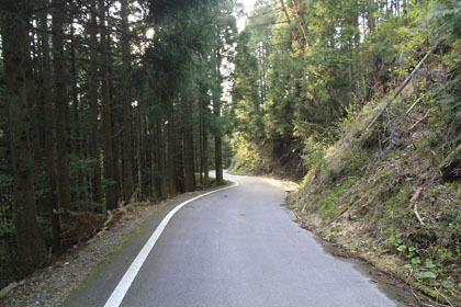 笹ヶ峠獅子越峠線