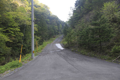 下井桑林道