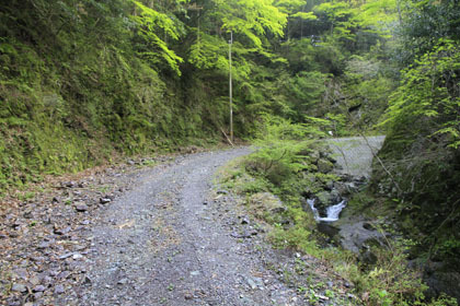 下井桑林道