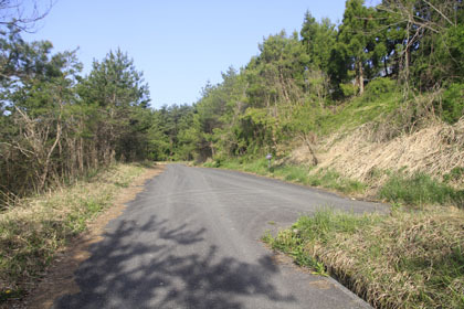 下井桑林道