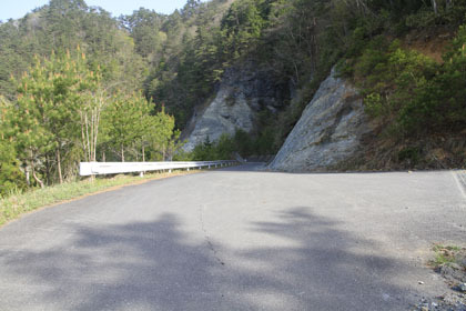 中の川井桑林道