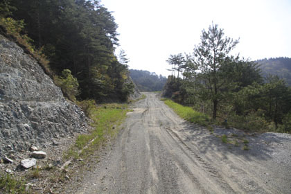 中の川井桑林道