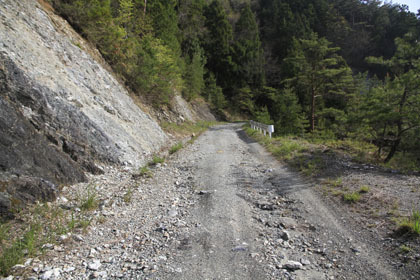 中の川井桑林道