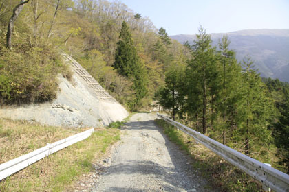中の川井桑林道