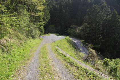 中の川井桑林道