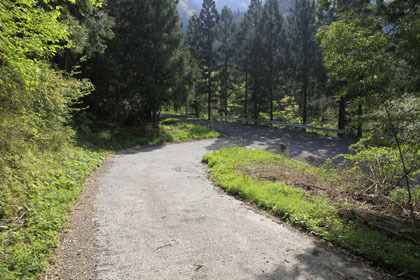 中の川井桑林道