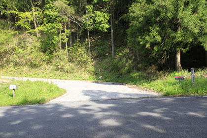 中の川井桑林道