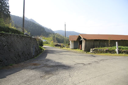 東川支線林道