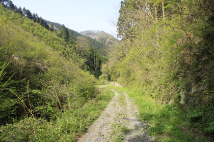 東川支線林道