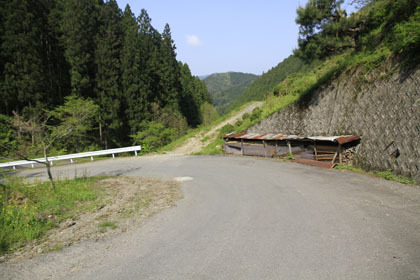 東川支線林道